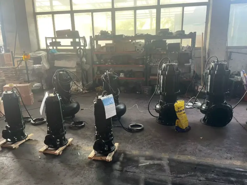 Mga Tampok ng Sewage Pump